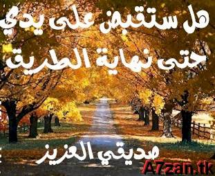 cheno 9olti